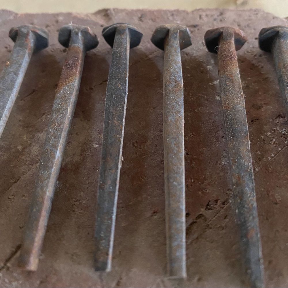 Historic wrought iron hand forged nails square Oddities & Curiosities Home decor
